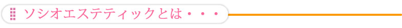 ソシオエステティックとは